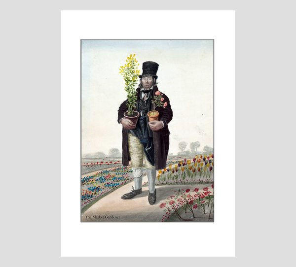 The Market Gardener by John Dempsey - A4 Print