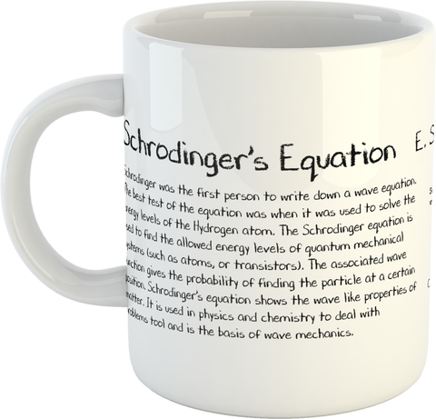 Schrodinger's Equation Mug