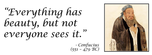 Confucius Quotation Mug