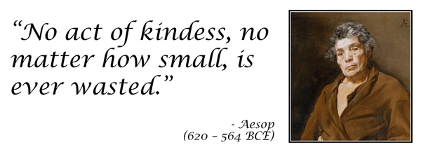 Aesop Quotation Mug