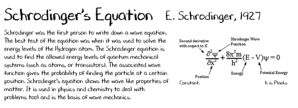 Schrodinger's Equation Mug