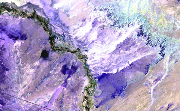 Desert to Forest - Satellite Photography