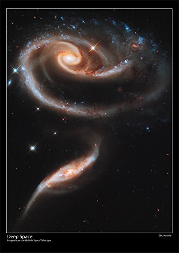 Hubble Space Telescope Poster - A Rose Made of Galaxies