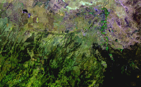 Desert to Forest - Satellite Photography