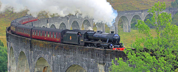 The Jacobite Steam Train Mug detail