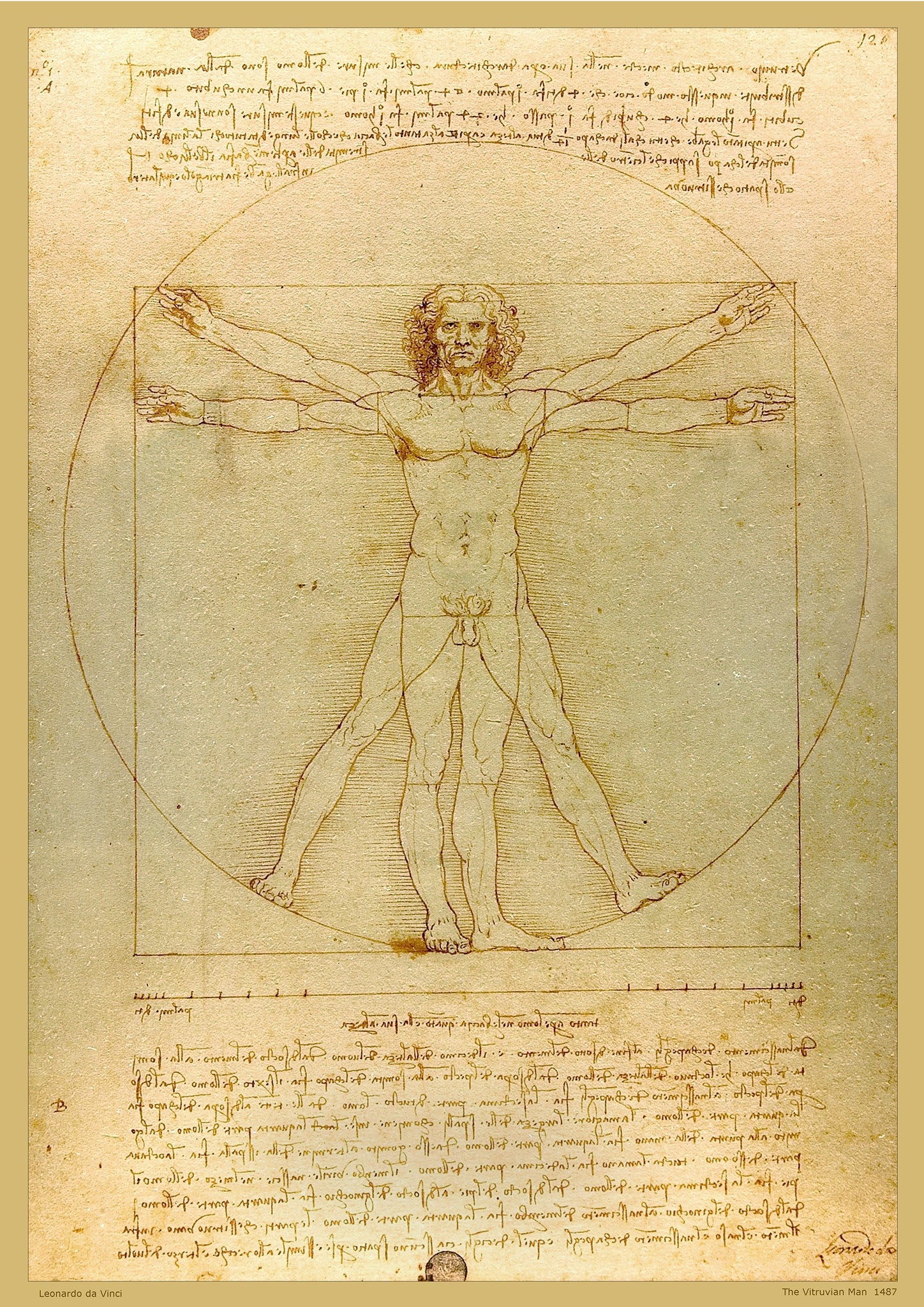 Da Vinci, The Vitruvian Man A2 Poster