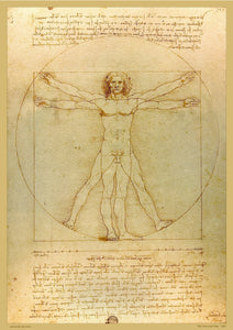 Da Vinci, The Vitruvian Man A2 Poster
