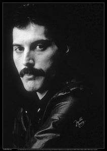 Freddie Mercury A2 Poster