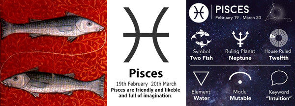 Pisces Zodiac Mug